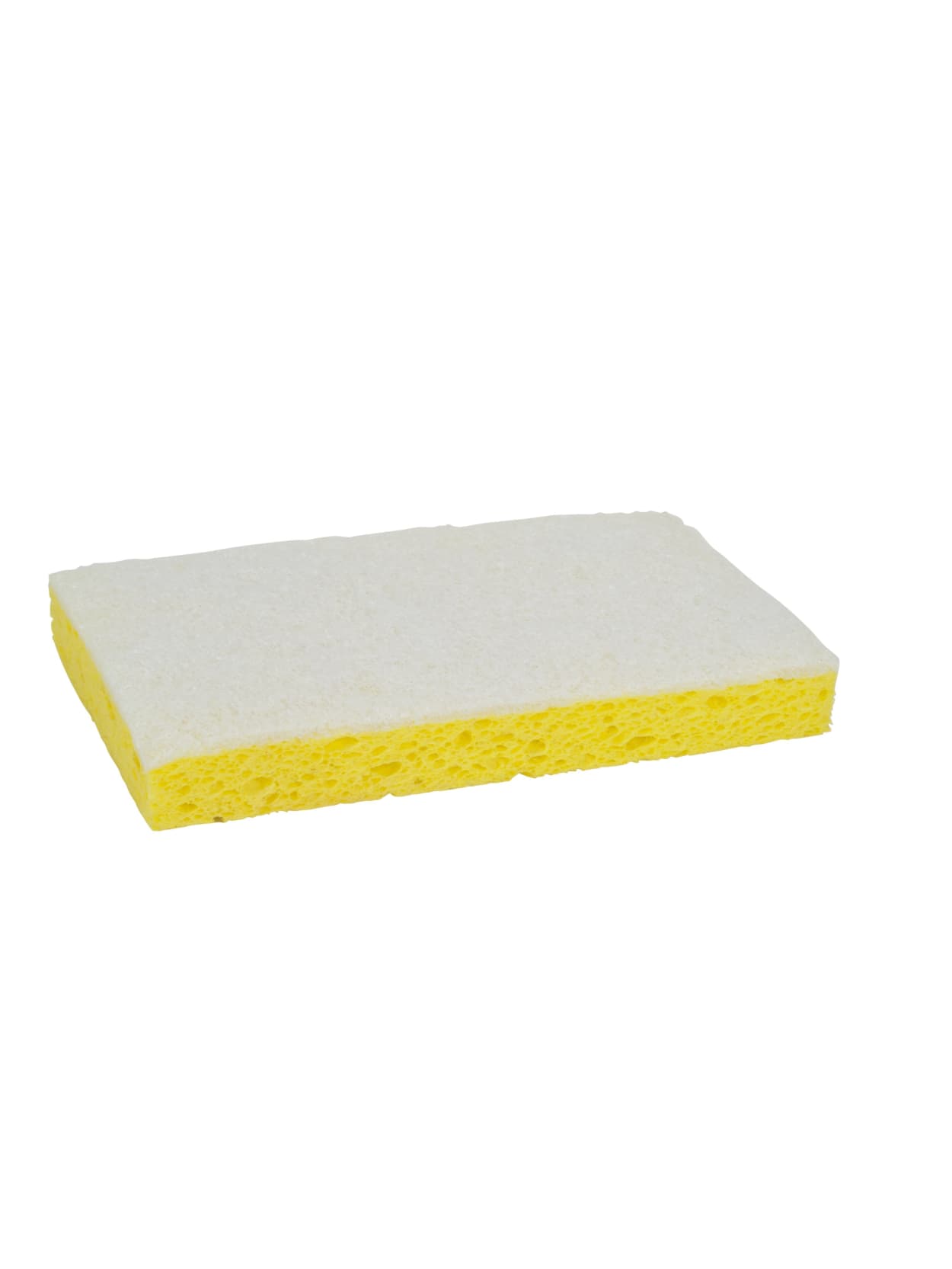 scrubbing sponge