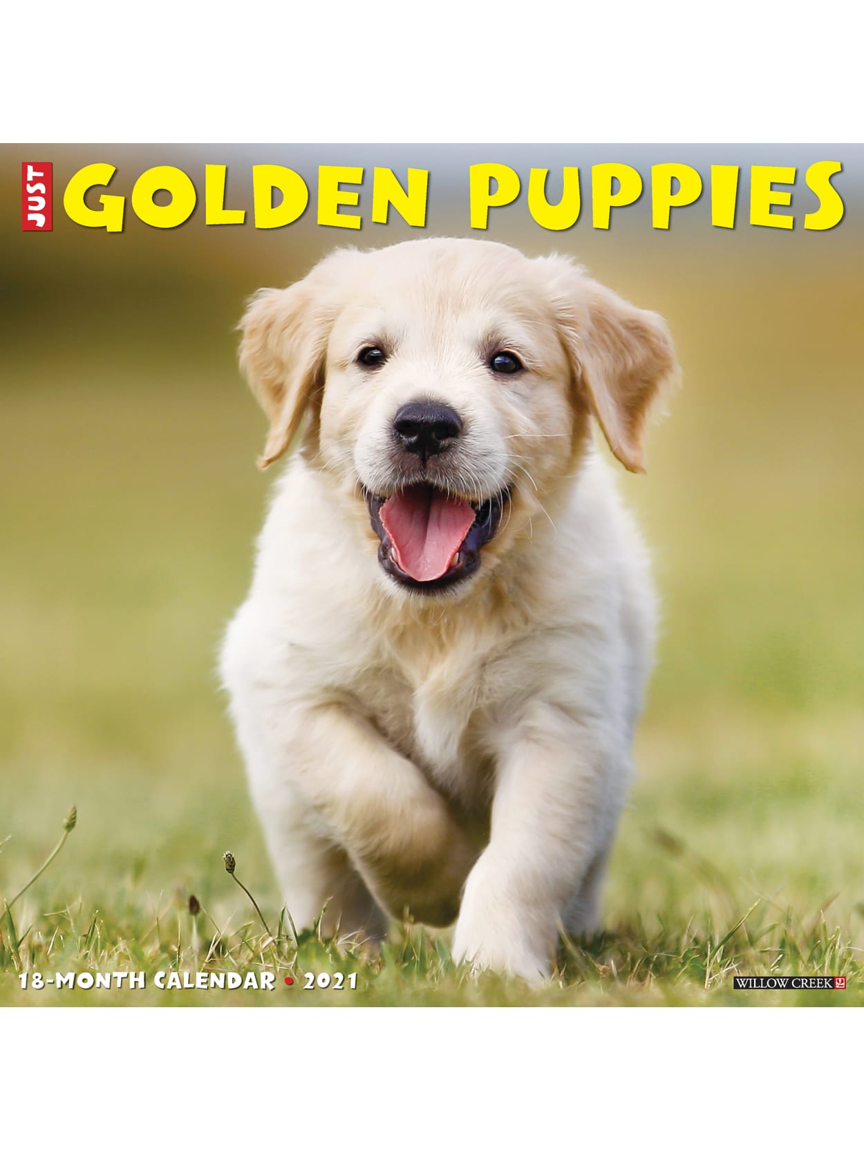 Willow Creek Wall Calendar Golden Puppies Office Depot