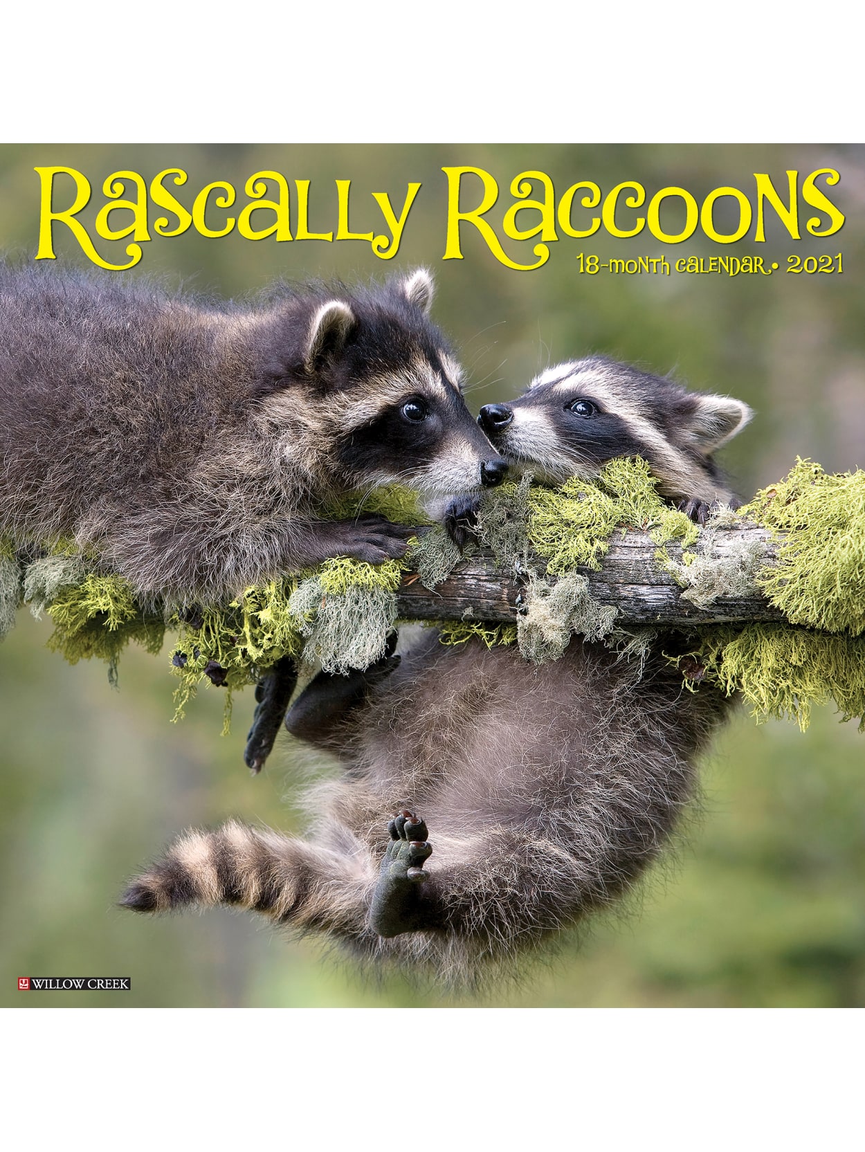 Willow Creek Wall Calendar Rascally Raccoons Office Depot