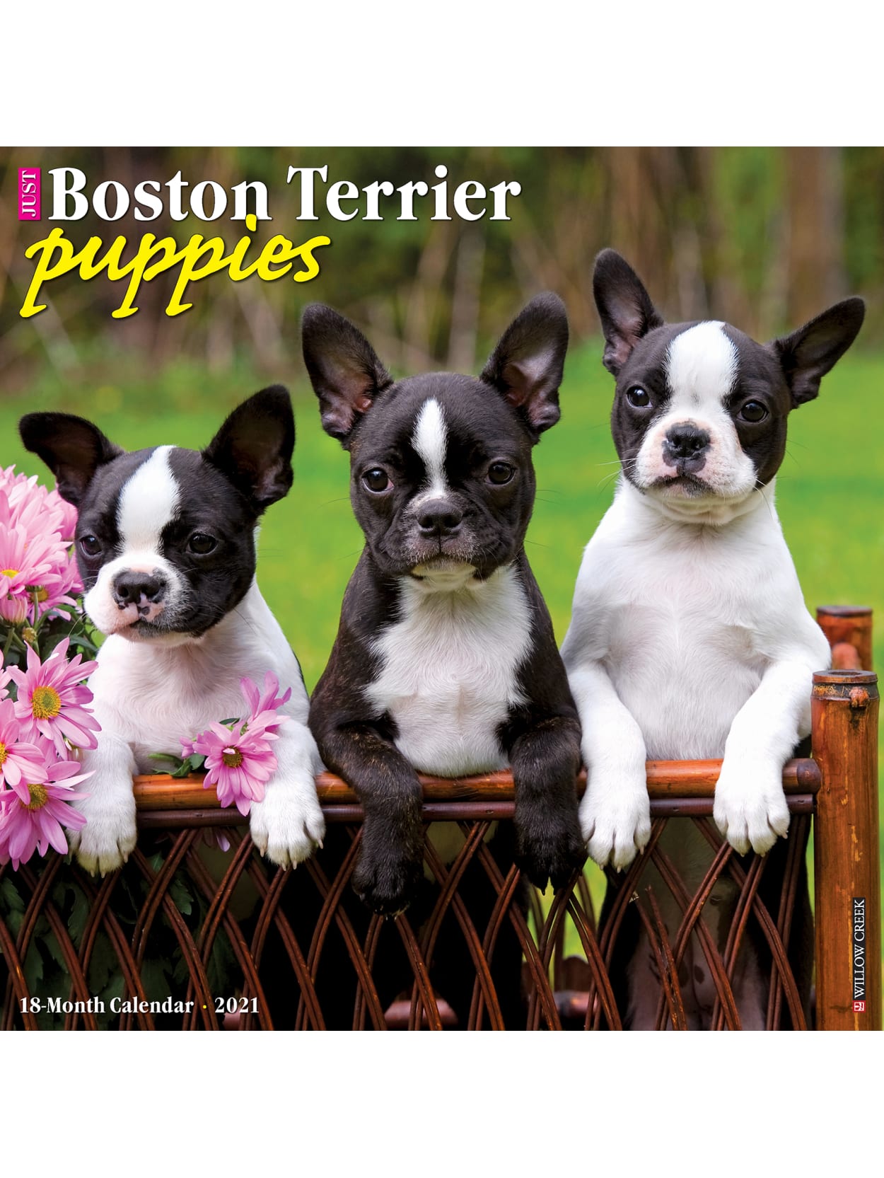 Willow Creek Calendar Boston Terrier Puppies Office Depot