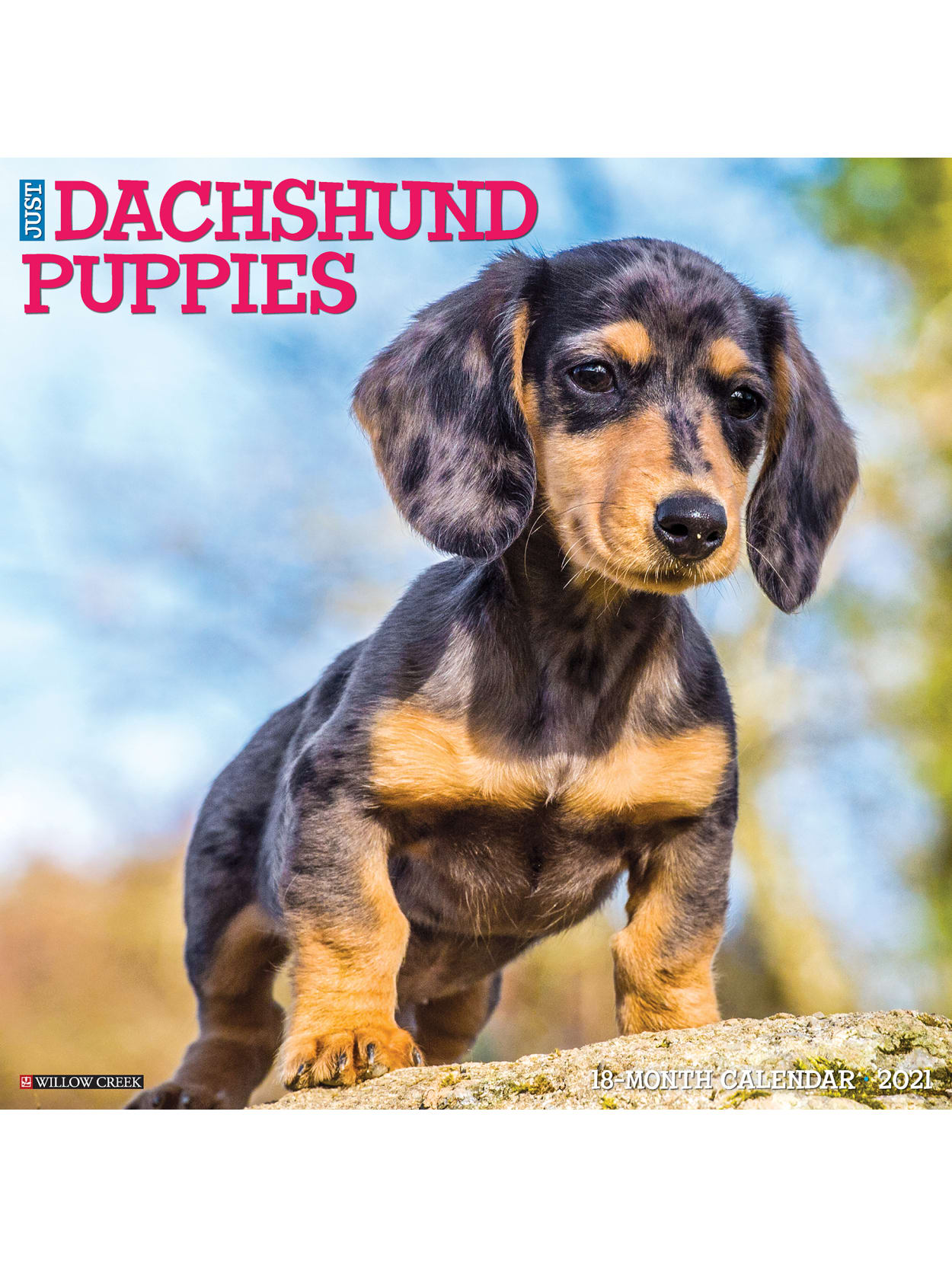 january 2021 puppy calendar