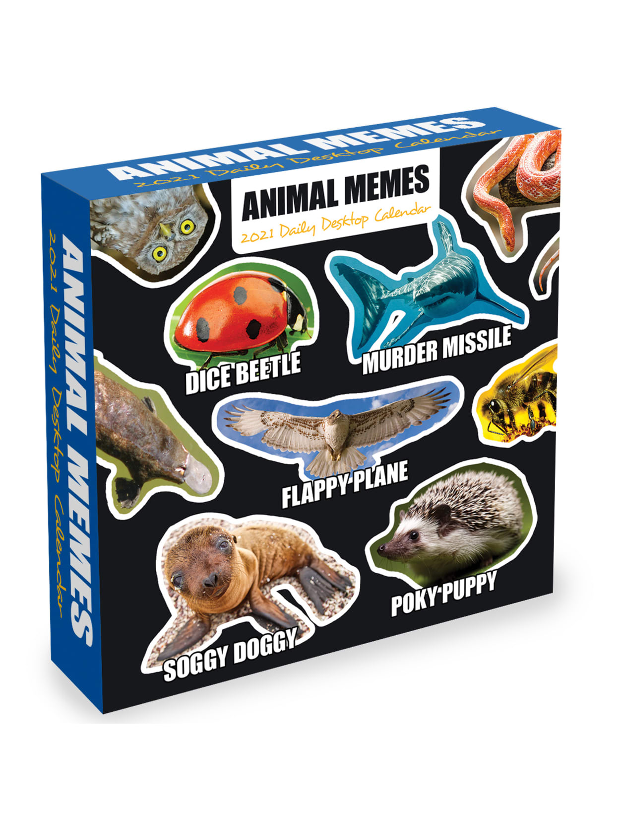 Tf Publishing Box Calendar Animal Memes Office Depot Mead 2021 animal memes wall calendar, 12″ x 12.