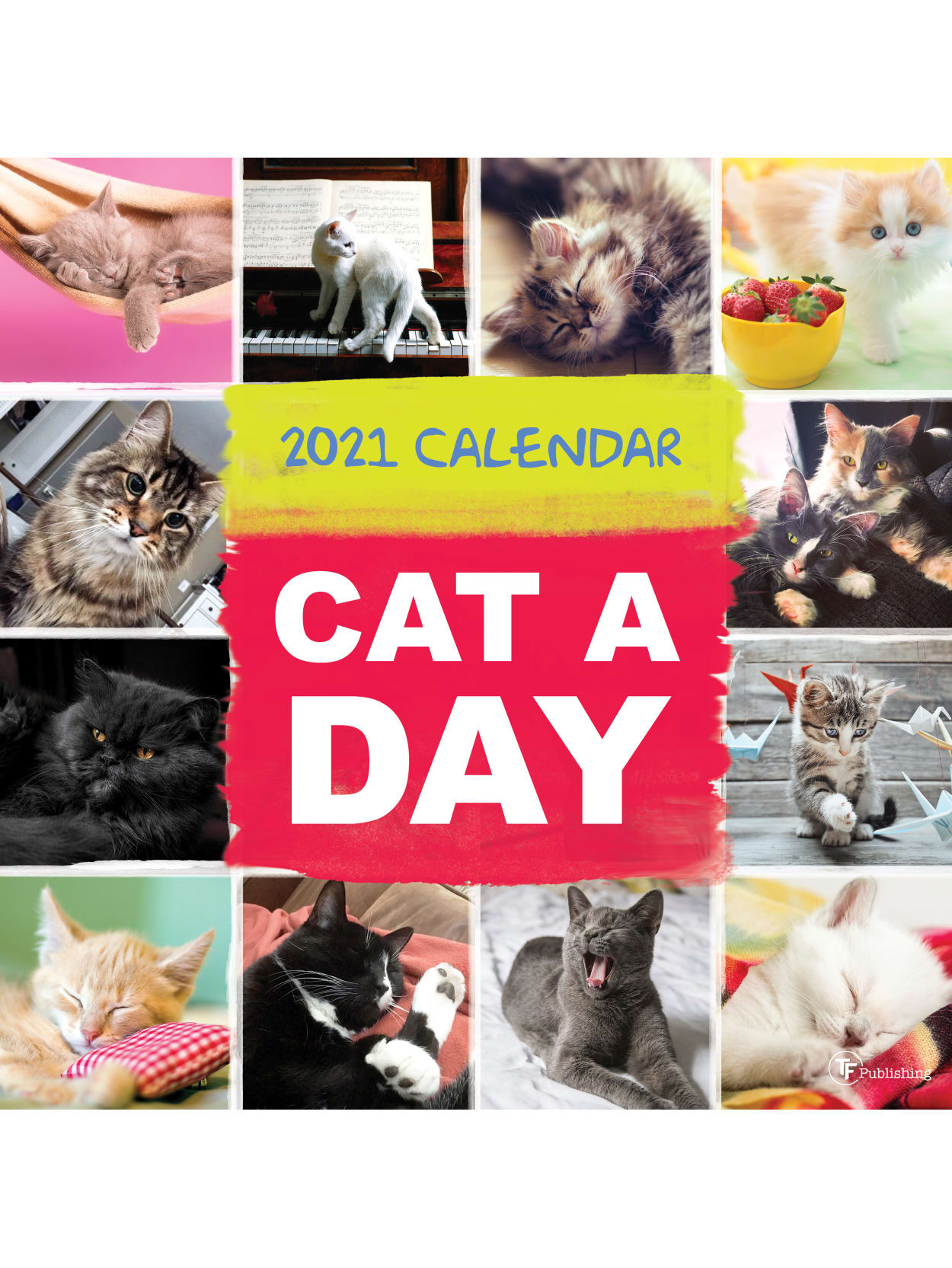 Cats In Color 2022 Wall Calendar