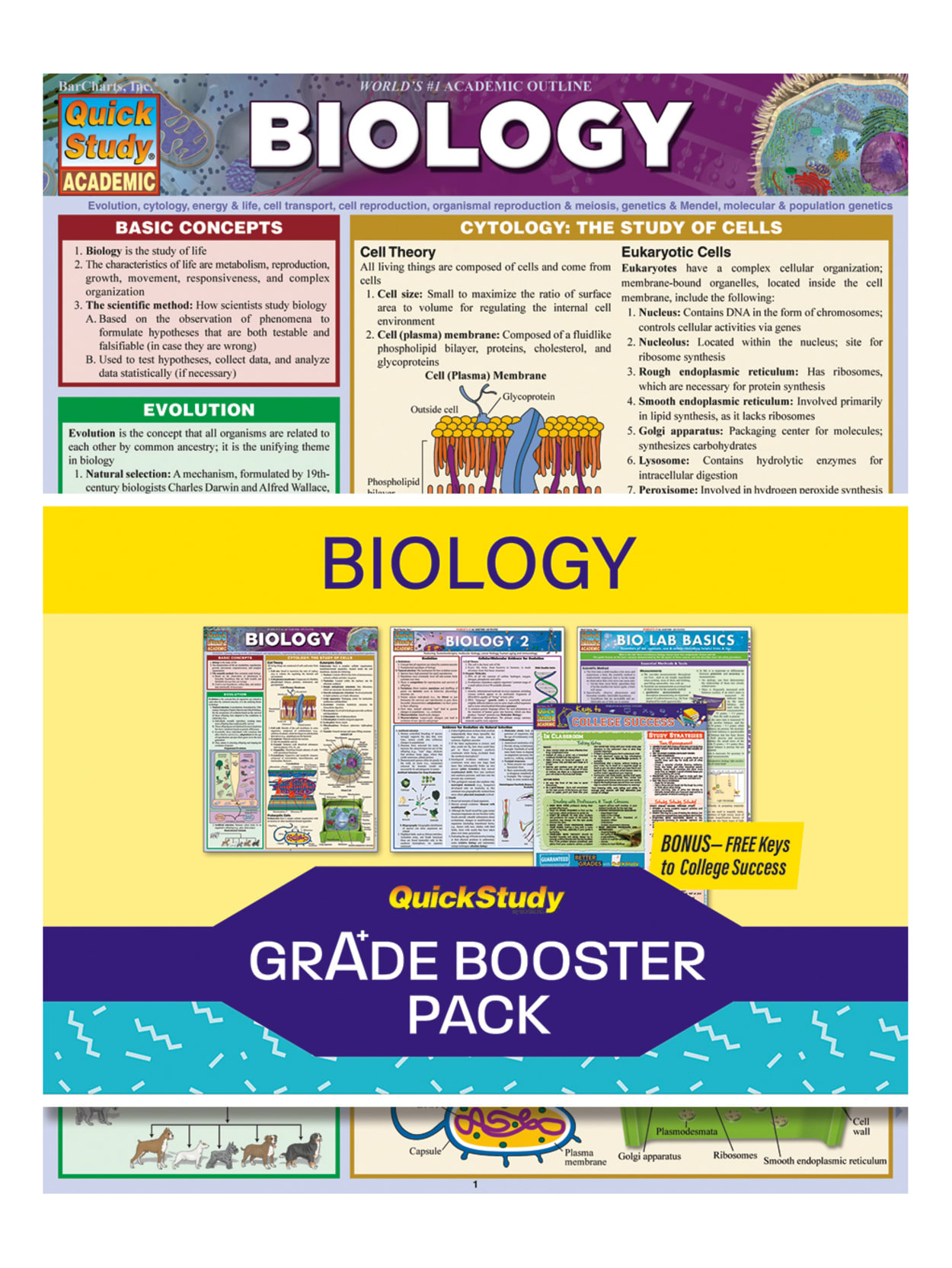 Quickstudy Grade Booster Pack Biology Office Depot