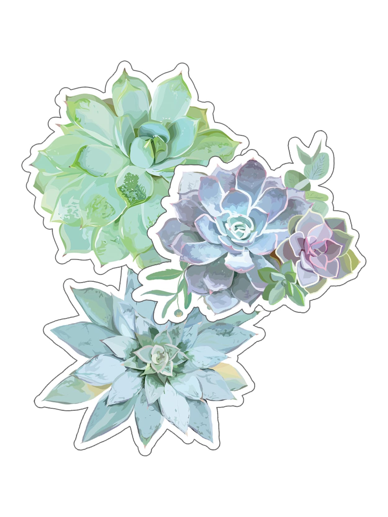 Schoolgirl Style Succulents Cut Outs 36pk Office Depot
