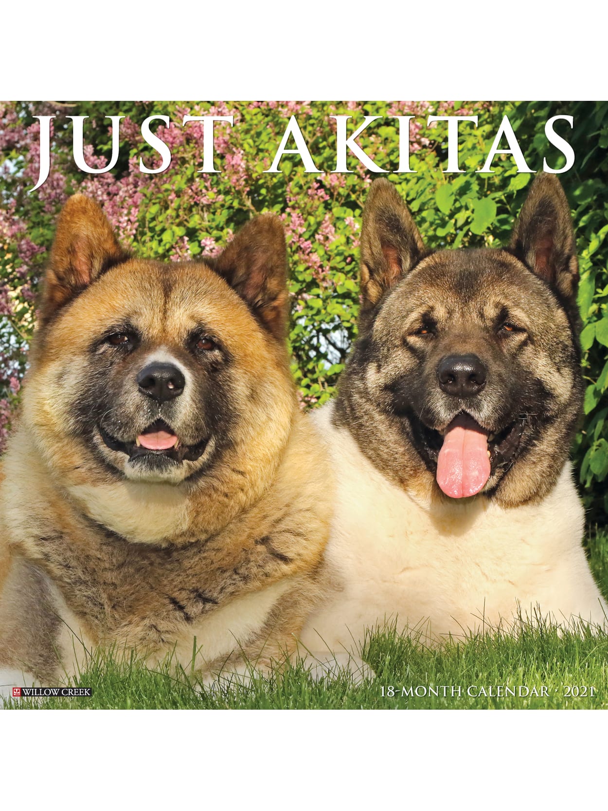 Willow Creek Monthly Wall Calendar Akitas Office Depot