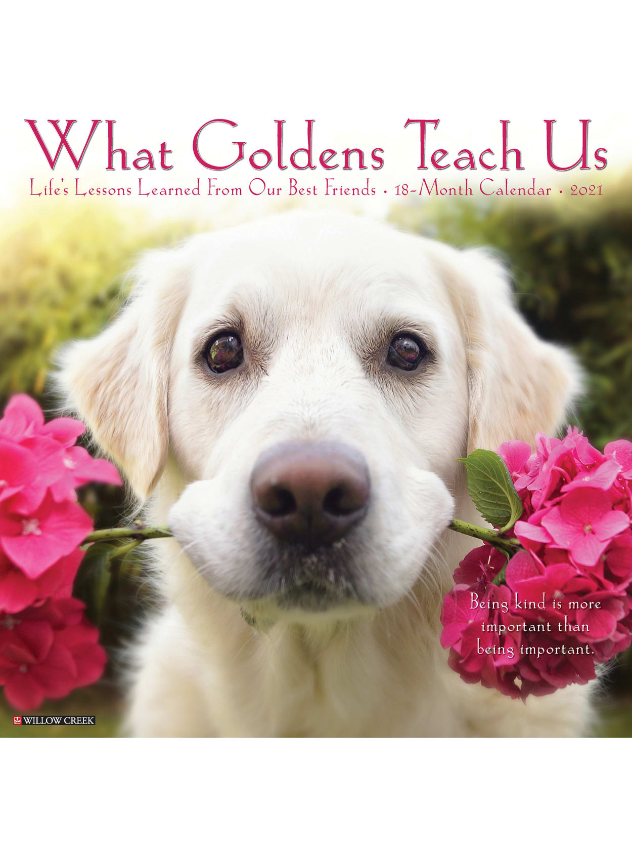 Willow Creek Wall Calendar Goldens Teach Us Office Depot