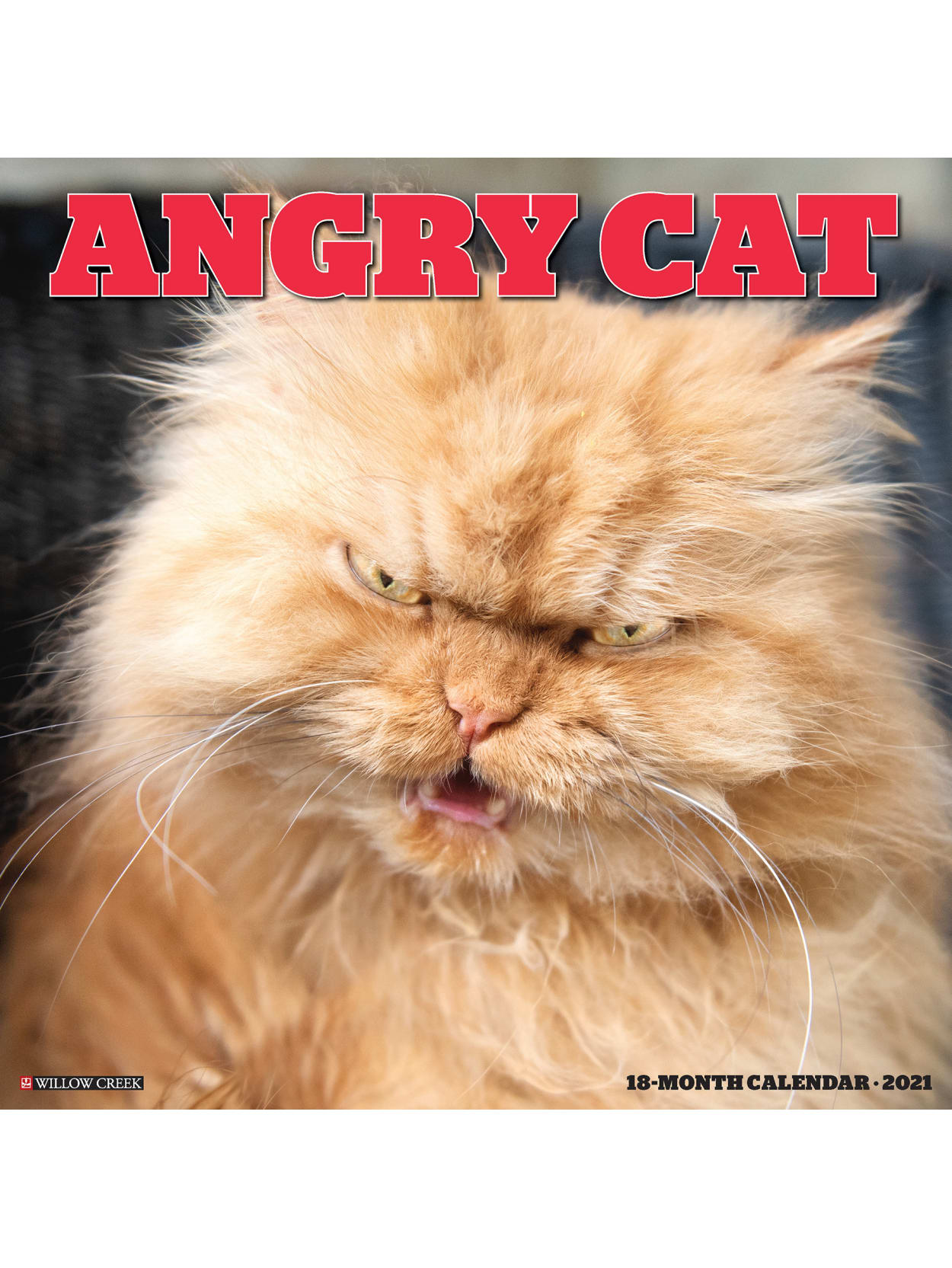 Willow Creek Animals Wall Calendar Angry Cat Office Depot