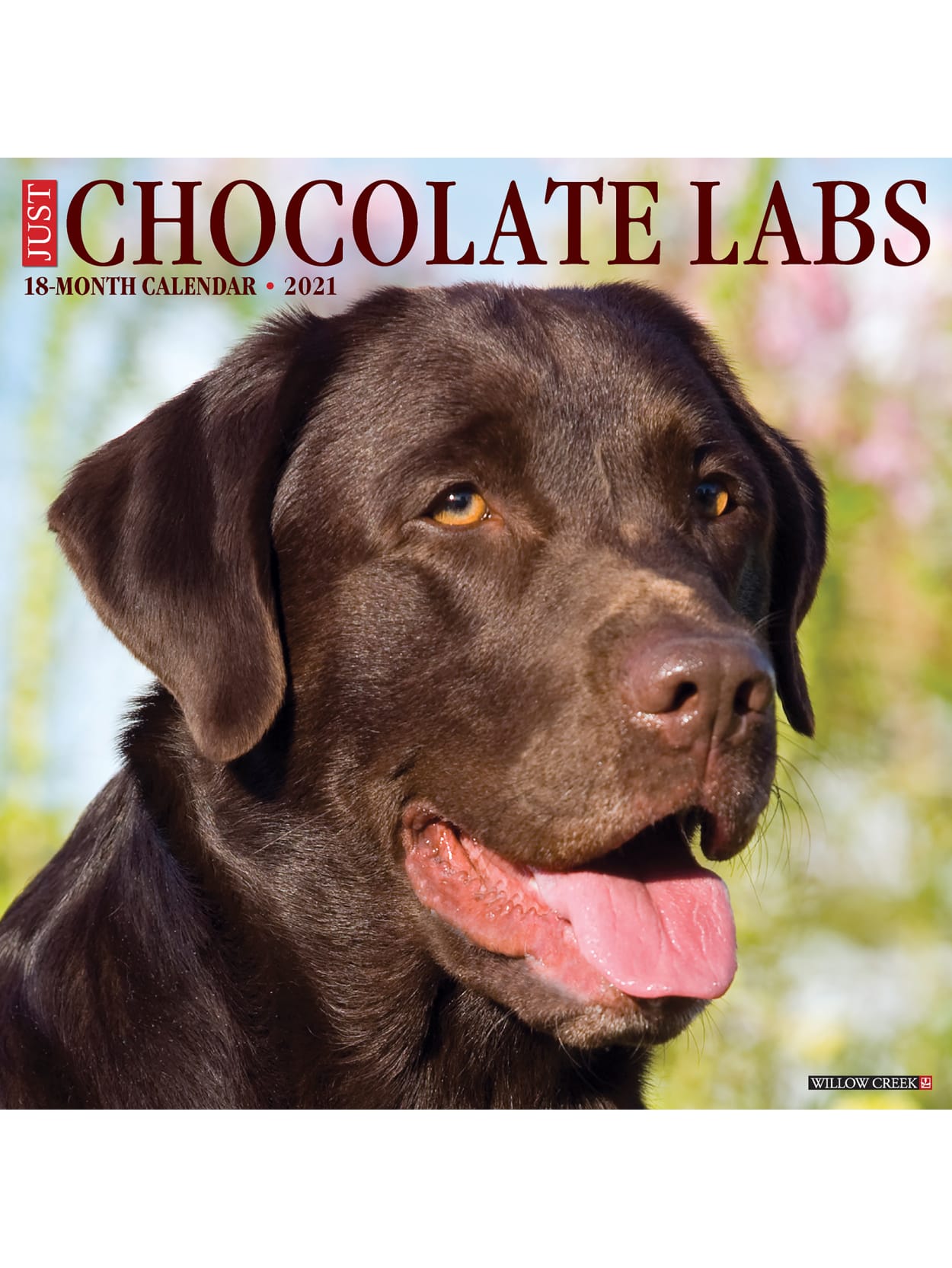 Willow Creek Wall Calendar Chocolate Labs Office Depot