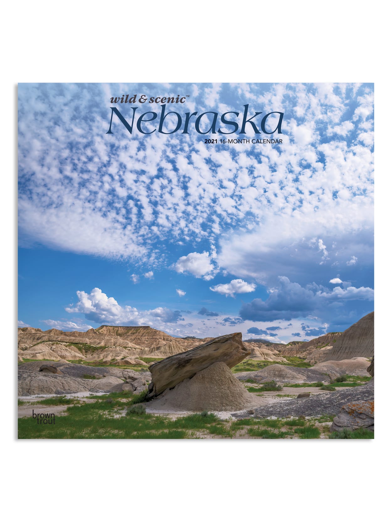 mn wild 2021 wall calendar