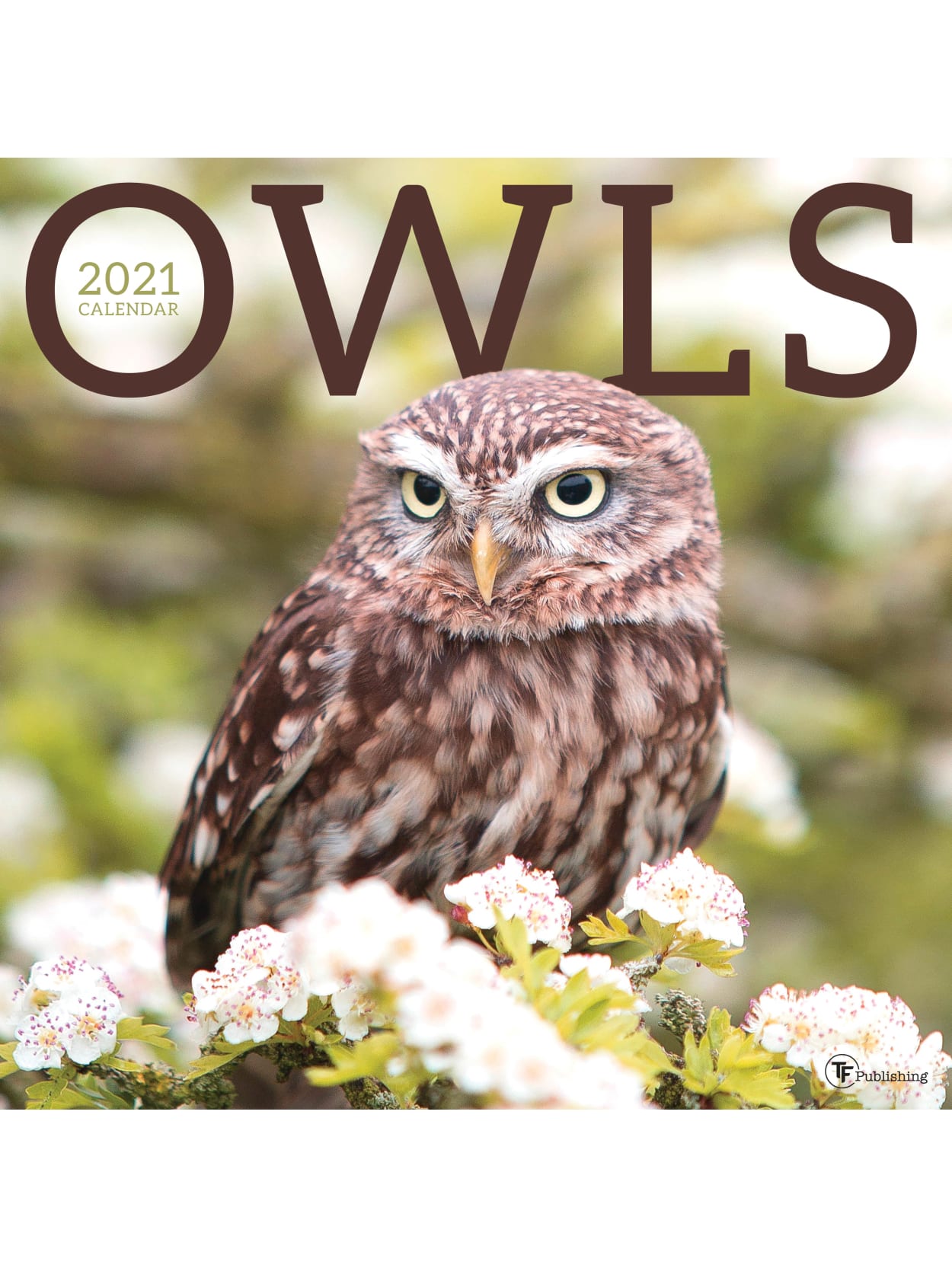 owl wall calendar 2021