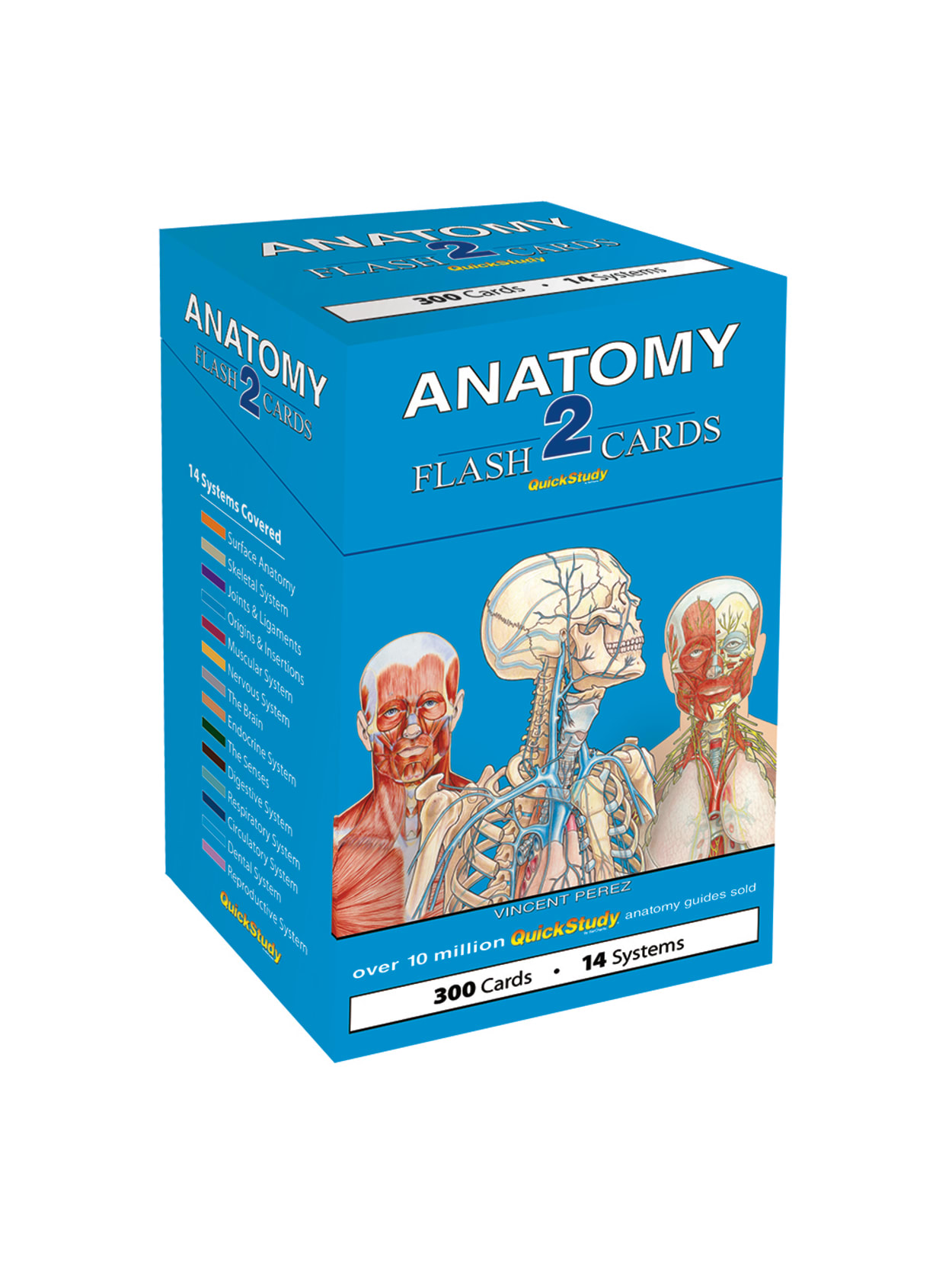 Quickstudy Anatomy 2 Flash Cards 300 Pk Office Depot