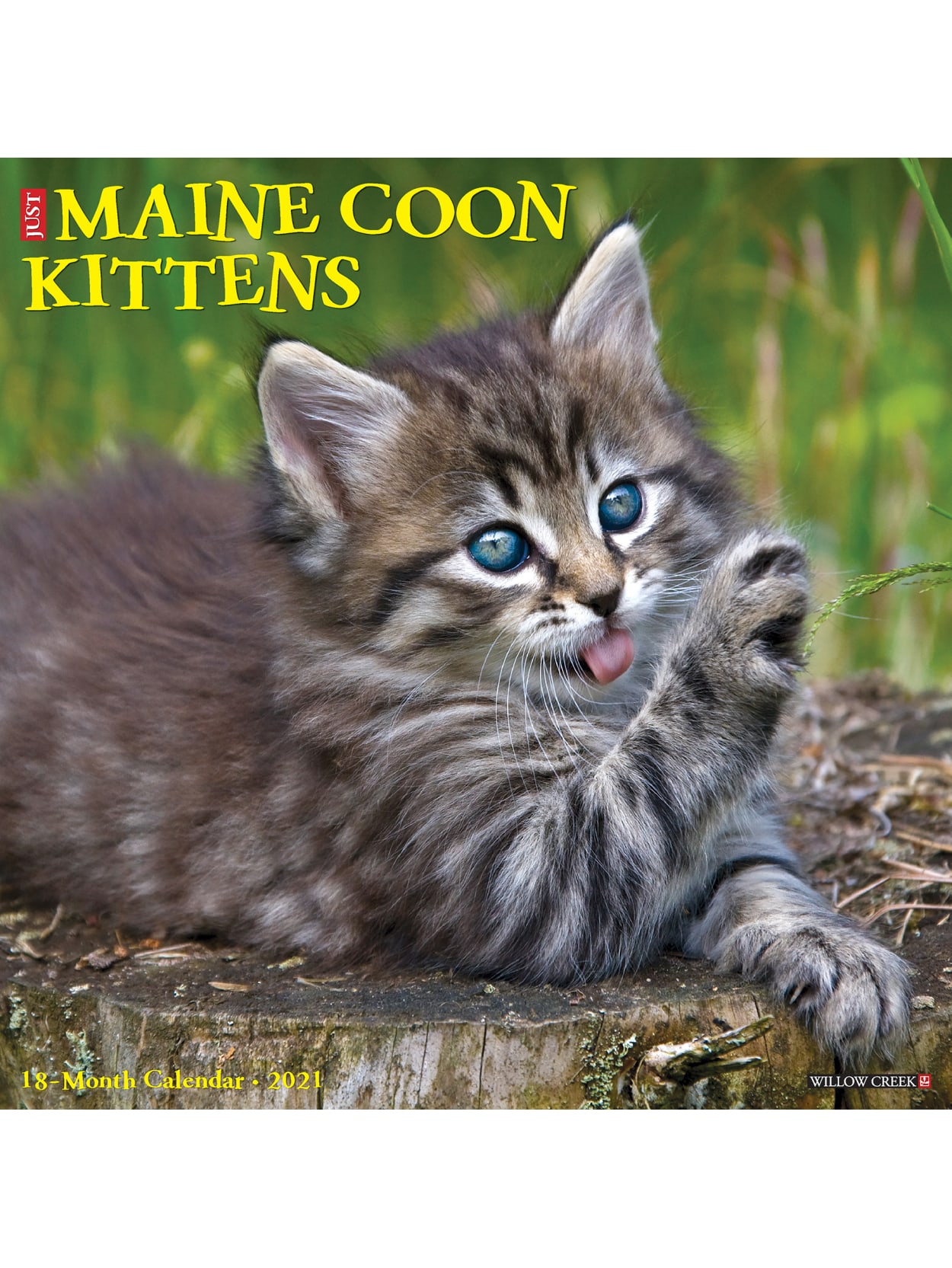 Willow Creek Calendar Maine Coon Kittens Office Depot