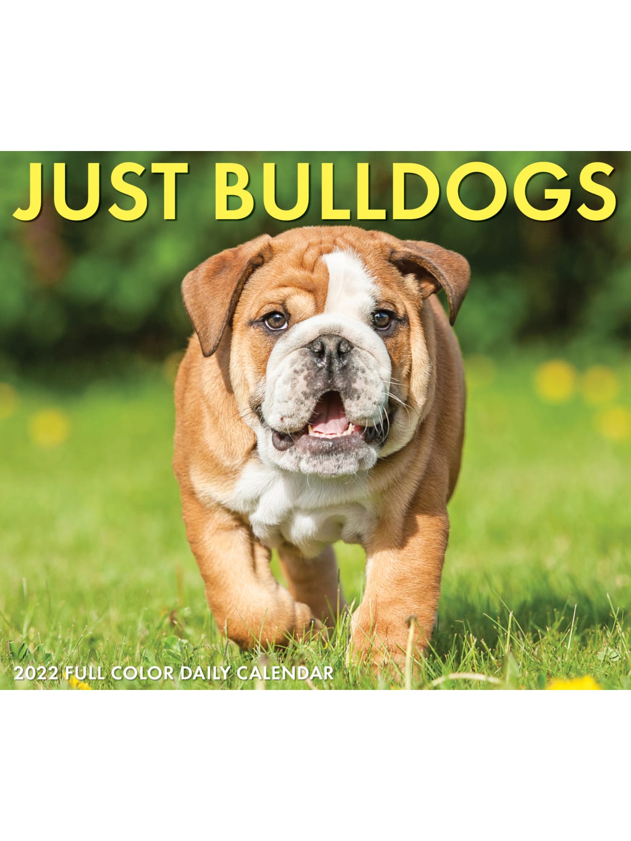 Bulldog Schedule 2022