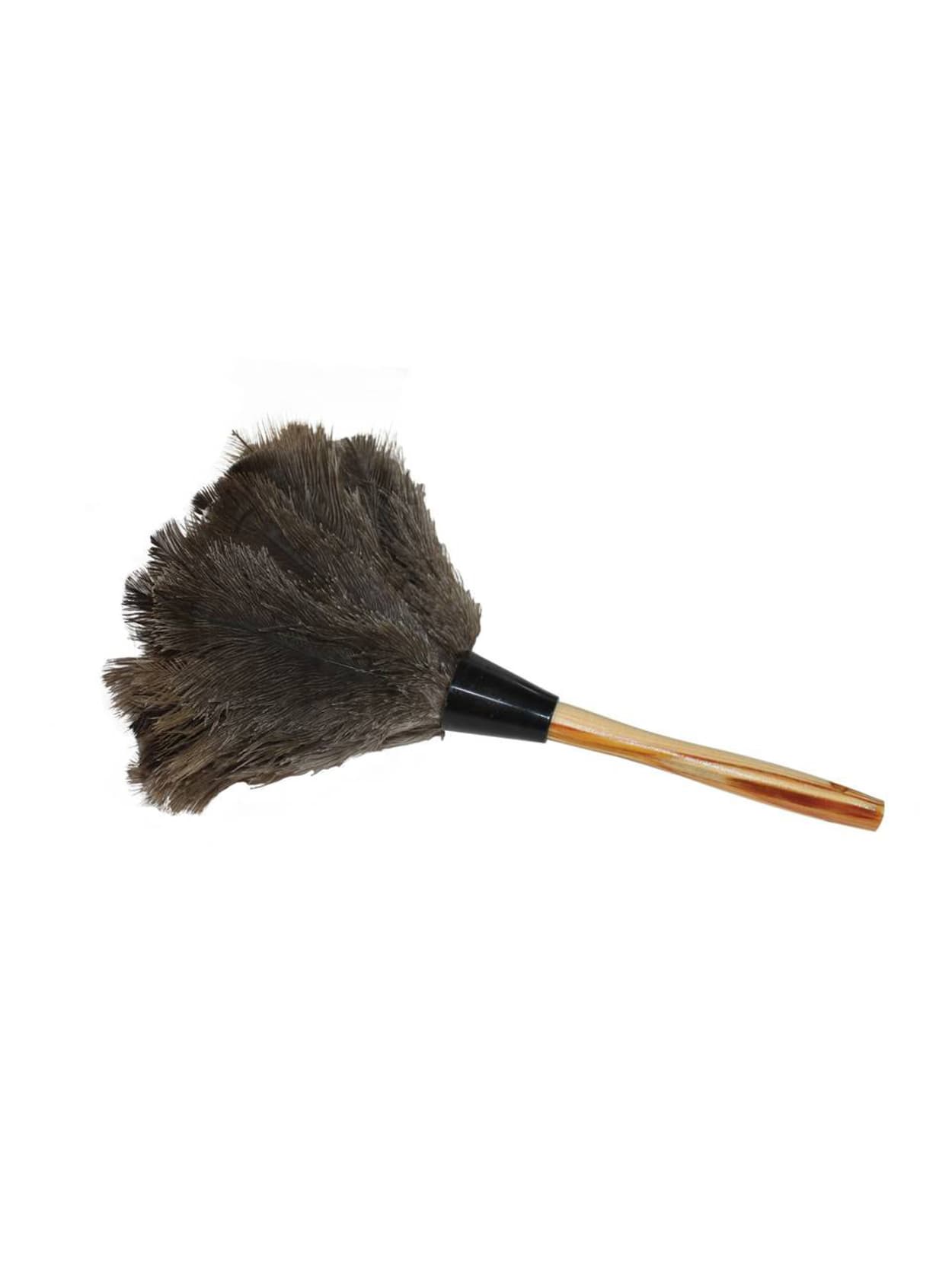 ostrich feather duster