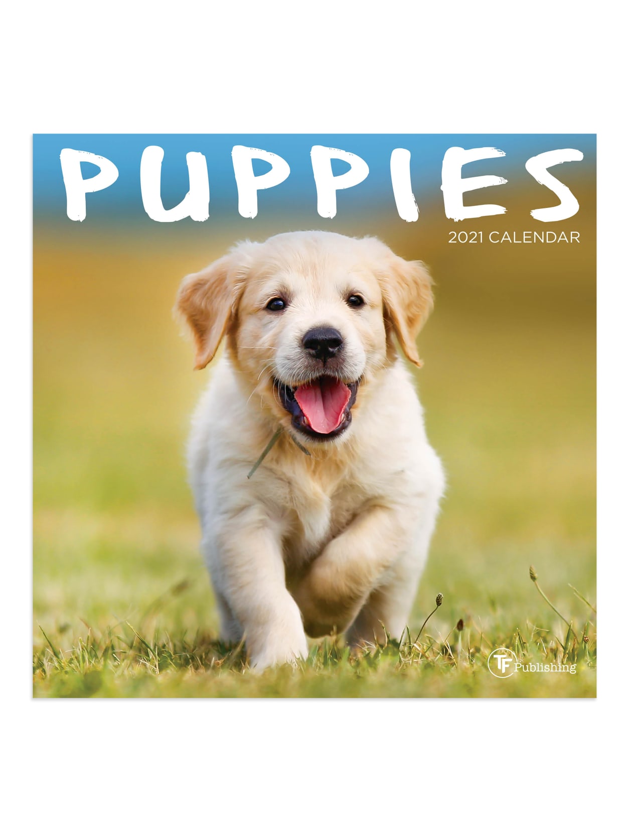 Tf Publishing Mini Wall Calendar 7 X 7 Puppies January To December 2021 Office Depot