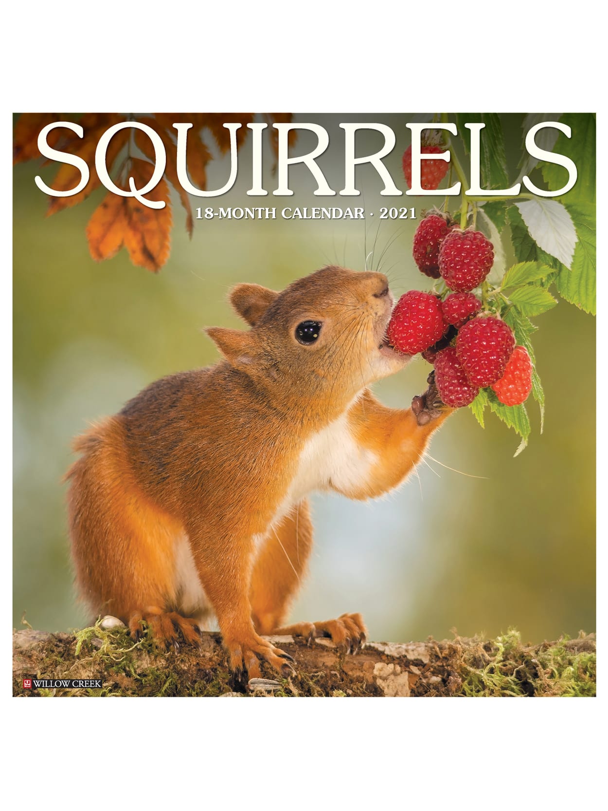 Willow Creek Monthly Wall Calendar Squirrels Office Depot