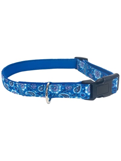 The office dog collar