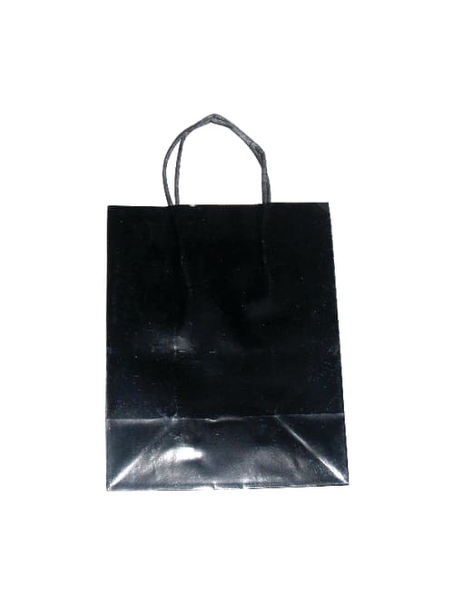 Download Officemax High Gloss Paper Bags 10 H X 8 W X 4 34 D Blackwhite Pack Of 125 Office Depot