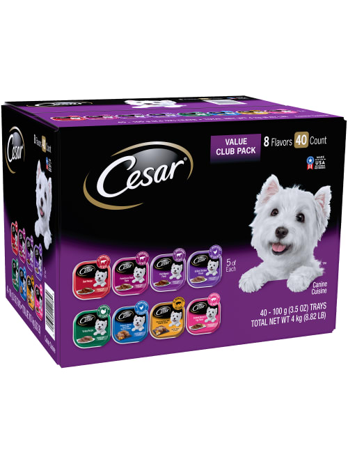 Cesar Canine Cuisine Wet Dog Food 40pk Office Depot