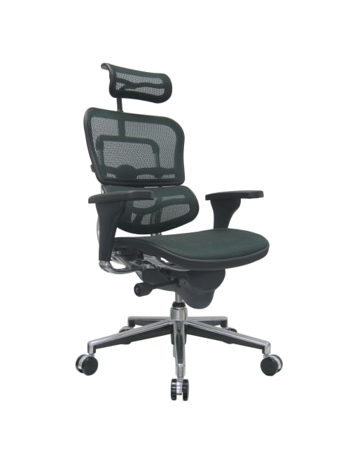 Raynor Ergohuman High Back Mesh Chair Greychrome Office Depot