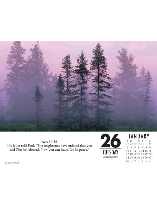 Willow Creek Daily Calendar Bible 14202 Office Depot