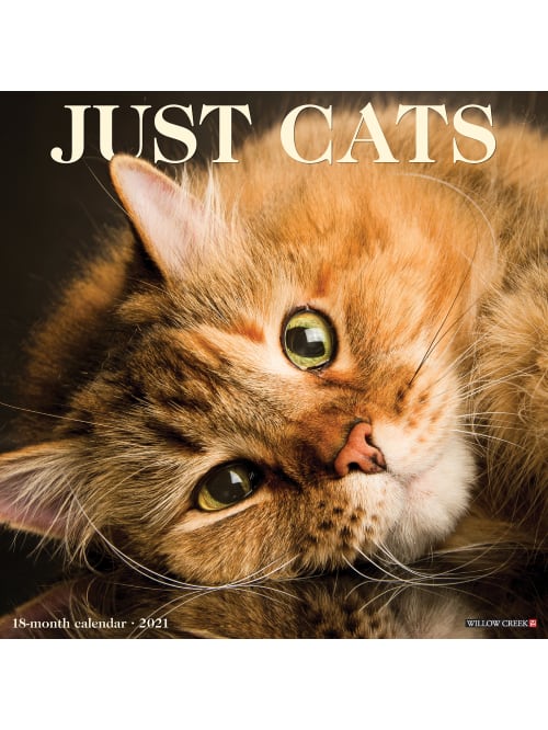 Willow Creek Monthly Wall Calendar Cats Office Depot
