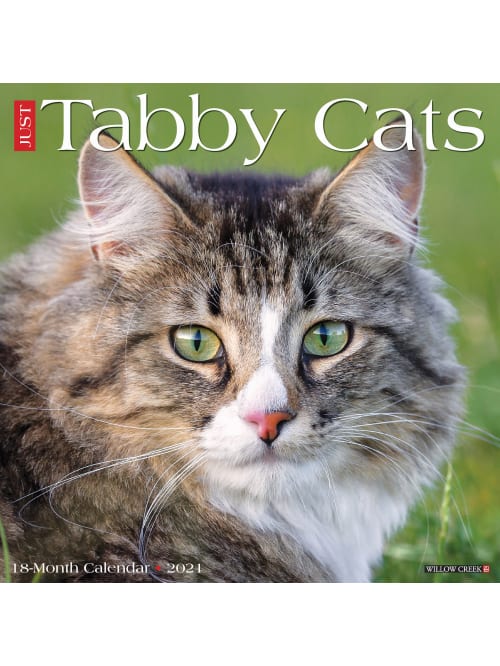 Willow Creek Wall Calendar Tabby Cats Office Depot