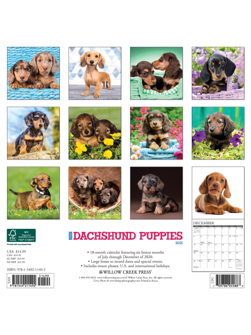 Willow Creek Calendar Dachshund Puppies Office Depot