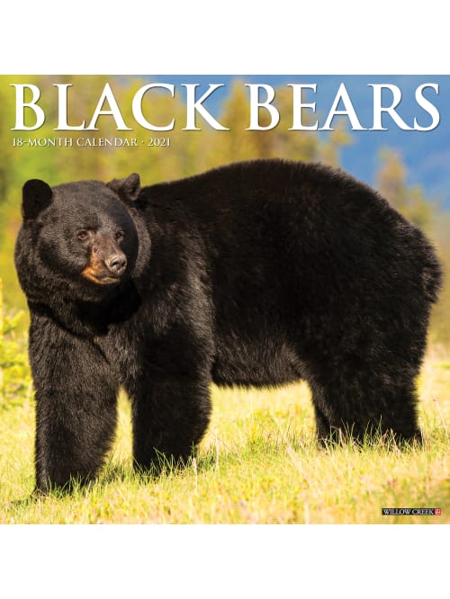 Willow Creek Wall Calendar Black Bears Office Depot