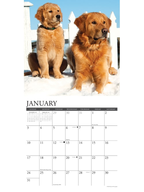 Willow Creek Wall Calendar Golden Retrievers Office Depot