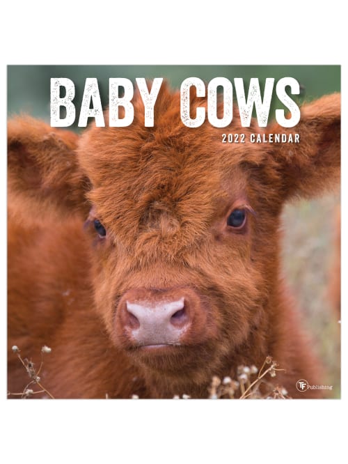January 2022 Cow Calendar