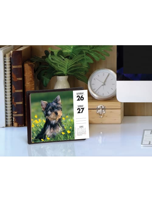 Willow Creek Daily Calendar Yorkies 14523 Office Depot