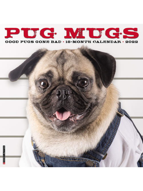 Pug Events 2022
