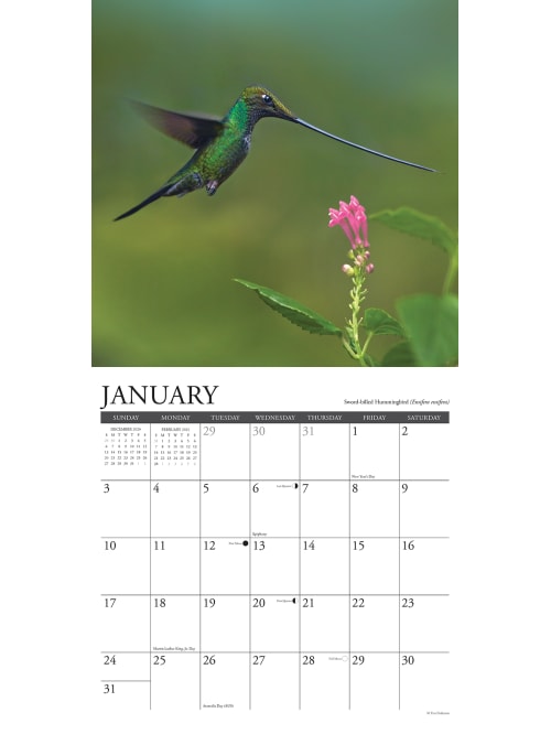 Willow Creek Monthly Calendar Hummingbirds Office Depot