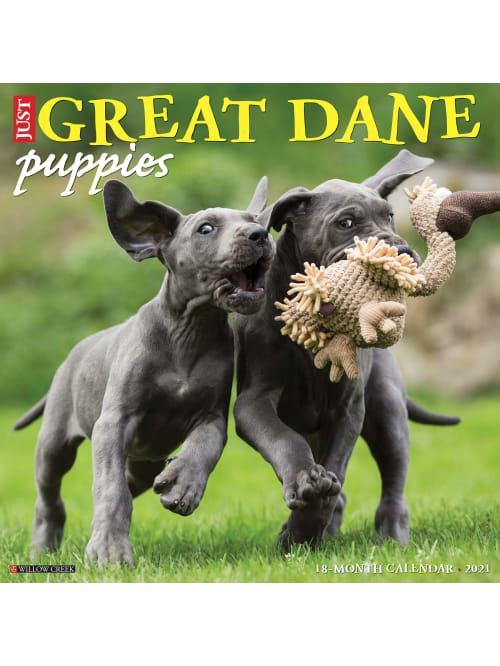 Willow Creek Calendar Great Dane Puppies Office Depot