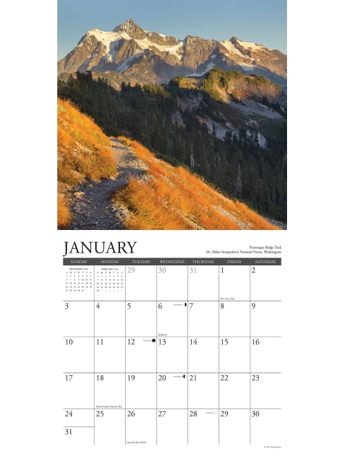 Willow Inspirational Calendar Pathways 12888 Office Depot