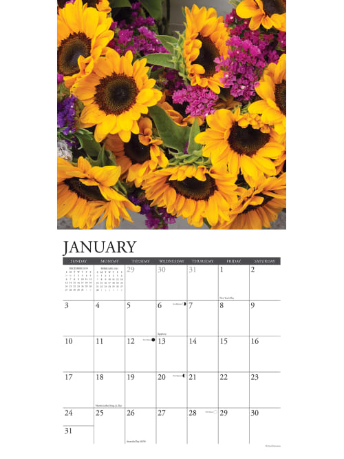 Willow Scenic Calendar Sunflowers 13441 Office Depot