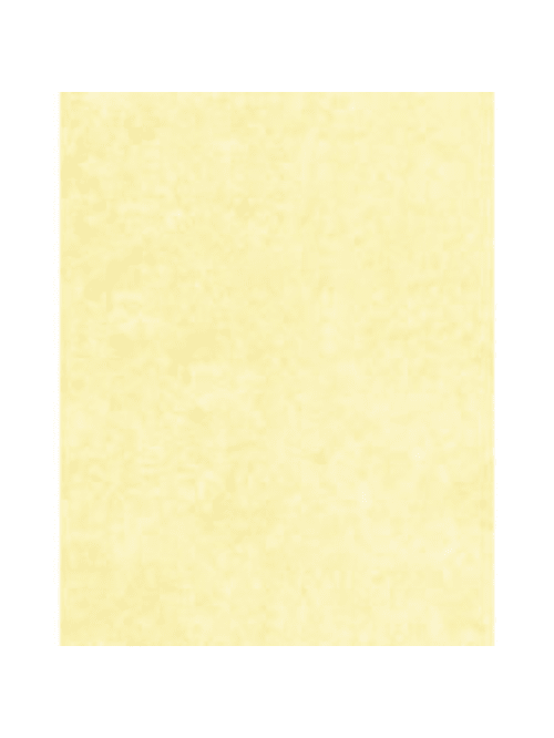 Gartner Studios Design Paper 8 12 X 11 60 Lb Ivory Parchment Pack Of 100 Sheets Office Depot