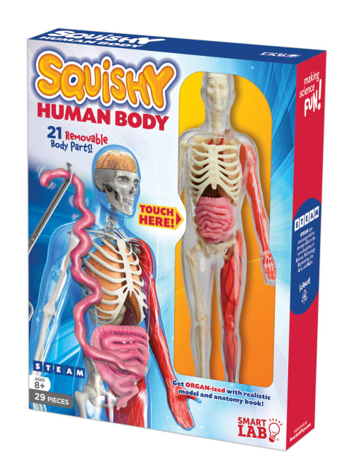 squishy human body