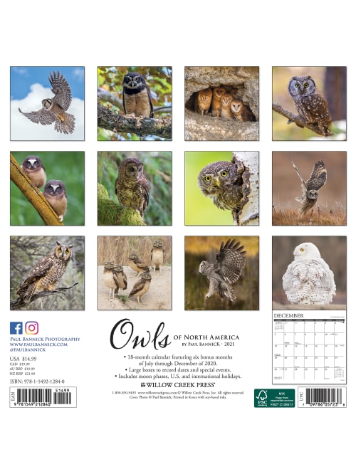 Willow Creek Animals Wall Calendar Owls Office Depot