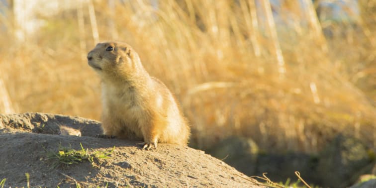 6 Ways to Keep That “Groundhog Day” Feeling at Bay