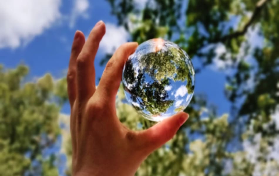 Sustainability Solutions for Business