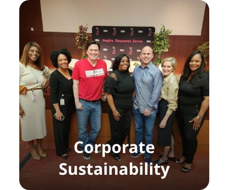 Corporate Sustainability