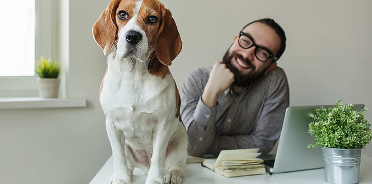 How “Take Your Dog to Work Day” Can Improve Your Workplace