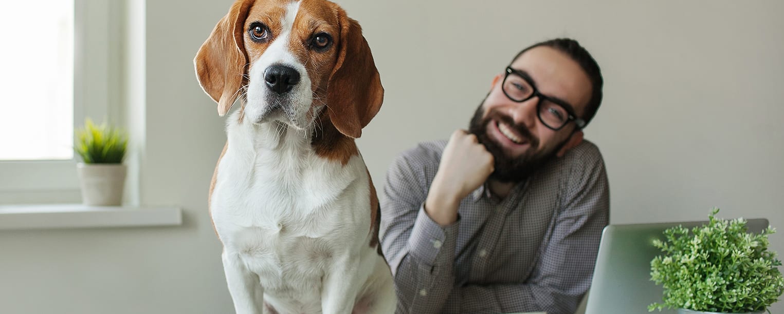 Pet Project: How “Take Your Dog to Work Day” Can Improve Your Workplace