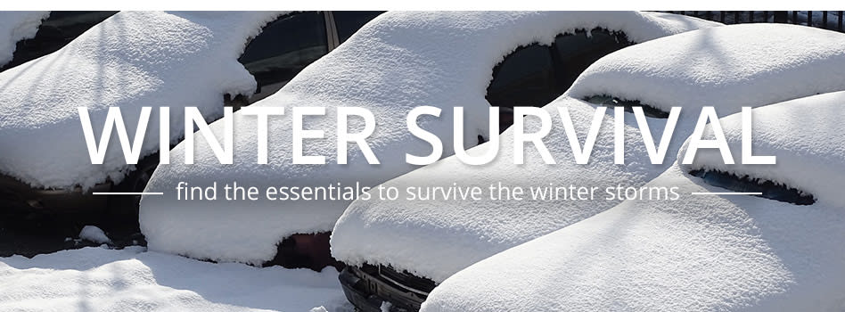8 Winter Survival Tips From the Experts