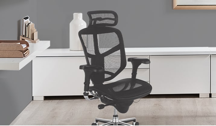 Executive Ergonomic Chairs