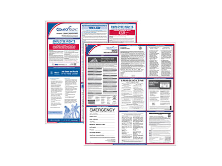 Federal State Poster Kits
