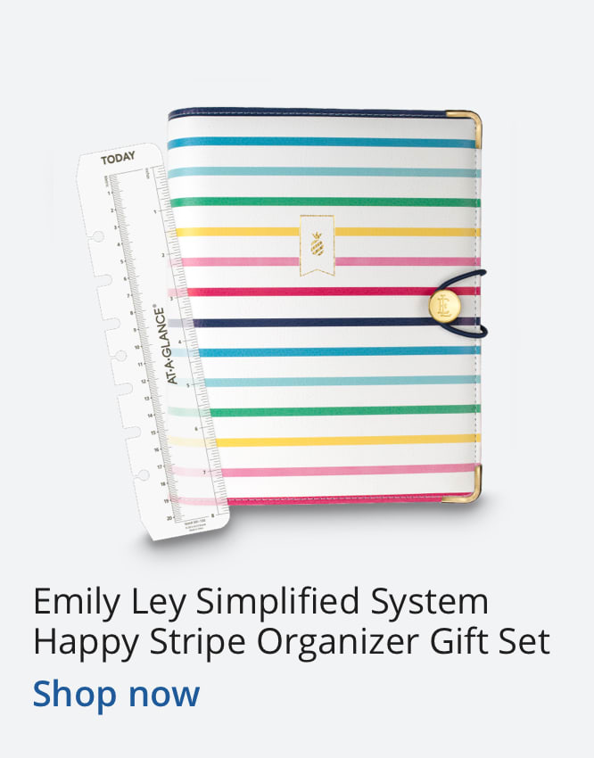 Emily Ley Simplified System Happy Stripe Organizer Gift Set